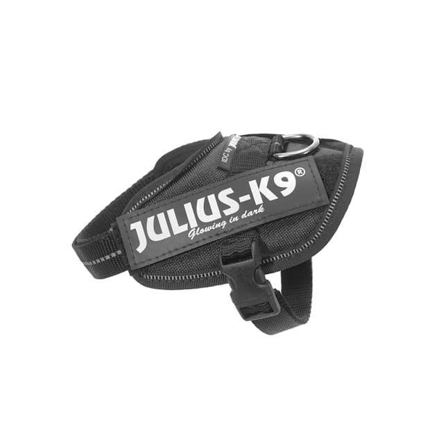 Julius k9 store baby 2 harness