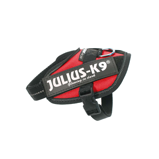 Julius k9 idc power harness size 2 sales
