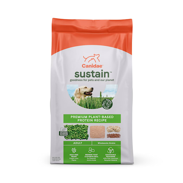 Dry dog top food without yeast