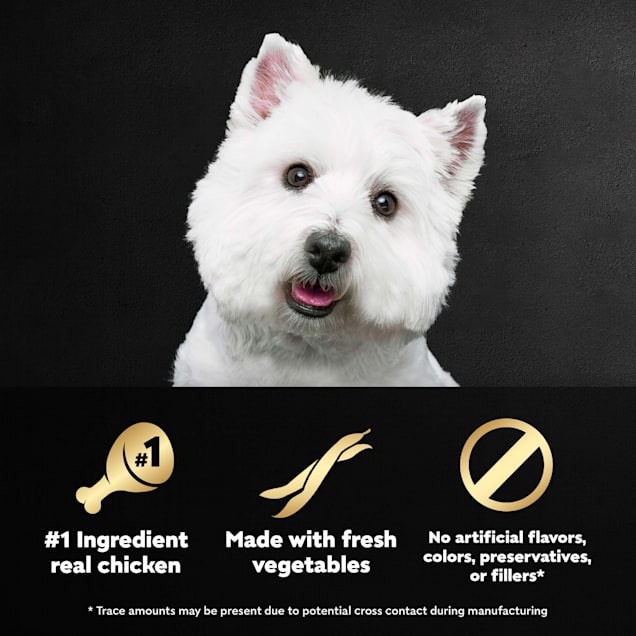 Cesar westie sale