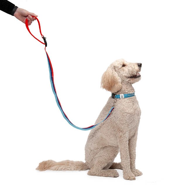 Hands Free Leash with Extra Security