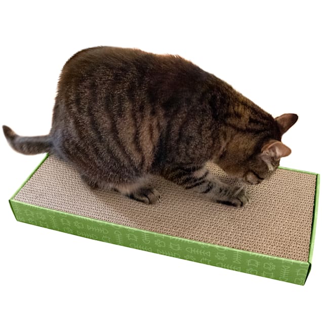 Cardboard Cat Scratch Pad Catnip Bag Included Scratcher Board Indoor Toy  Pet Accessory 