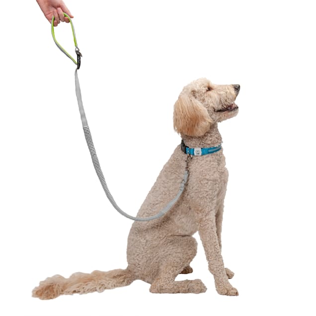 Tether rope for store dogs