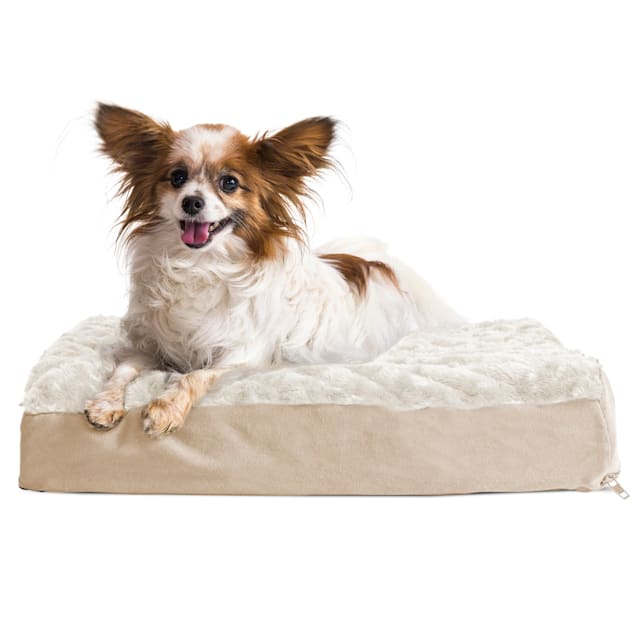 Pet Support Systems Organic Latex Orthopedic Dog Bed - Back Support Systems