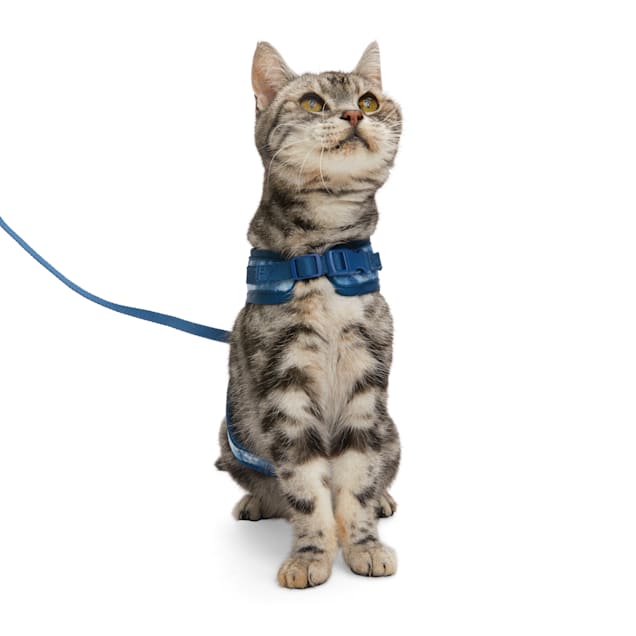 YOULY Tie Dye Cat Harness & Leash Set, Medium Petco
