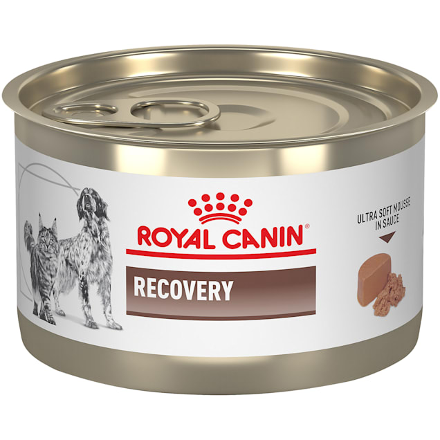 Royal Canin Veterinary Diet Feline And Canine Recovery In Ultra Soft Mousse in Sauce Wet Cat and Dog Food, 5.1 oz., Case of 24 - Carousel image #1