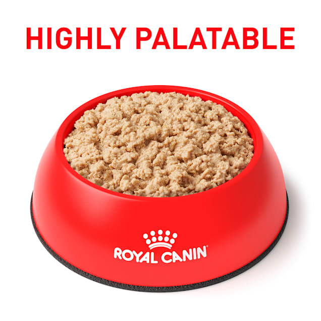 Royal canin recovery rs cat food clearance
