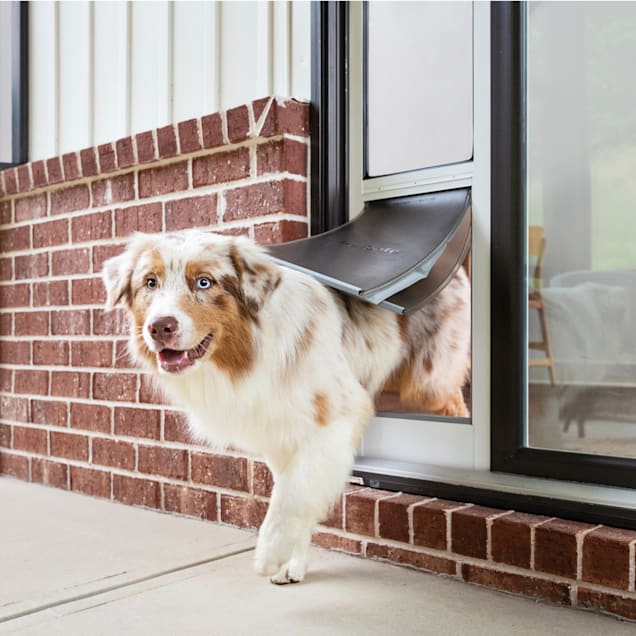 Dog flap in glass clearance door