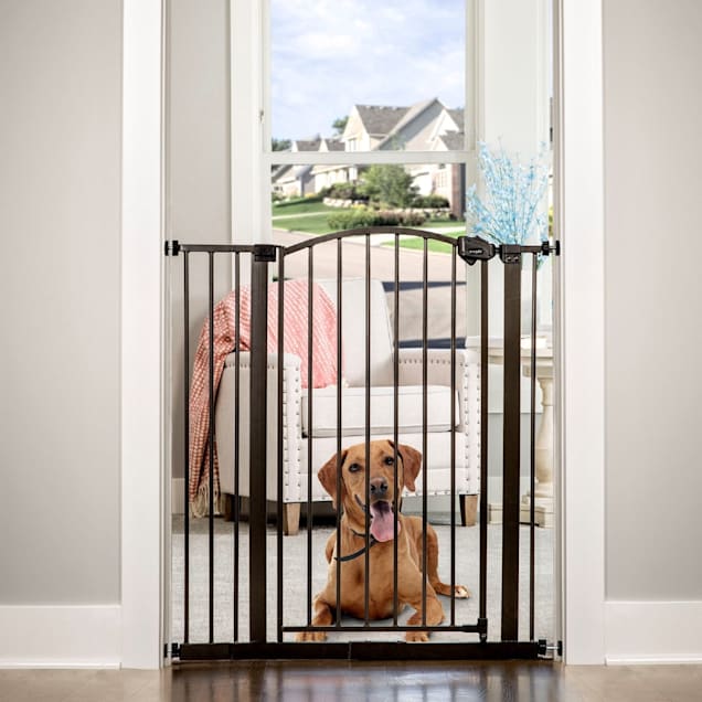 Regalo extra tall pet gate clearance