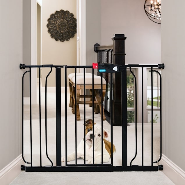 Regalo wide gate online