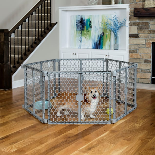 Regalo 2 in 1 Plastic Pet Gate and Playard 2 L X 192 W X 26 H Petco