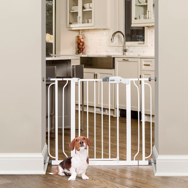 Regalo pet gate with cat door store