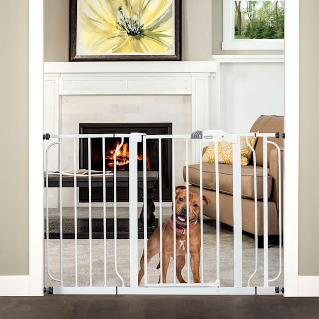 Petco extra wide pet gates store