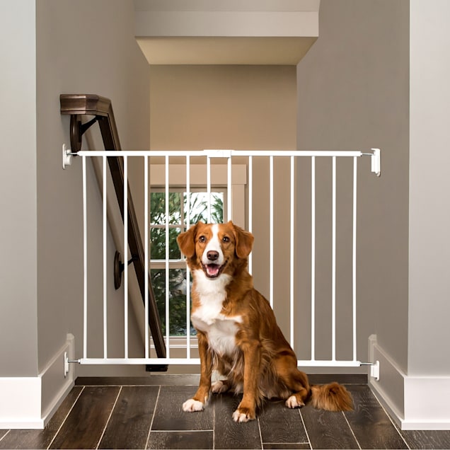 Dog gate for clearance top of stairs