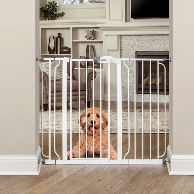 EveryYay In The Zone Extra-Tall Walk-Through Pet Gate, 29-50 W X 41 H