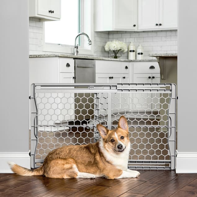 Regalo pet gates cheap