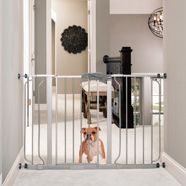 Regalo Platinum Extra Wide Metal Pet Gate 2