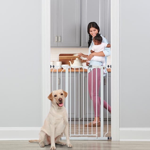 Regalo White Extra Tall Metal Pet Gate 2 L X 36.5 W X 36 H Petco