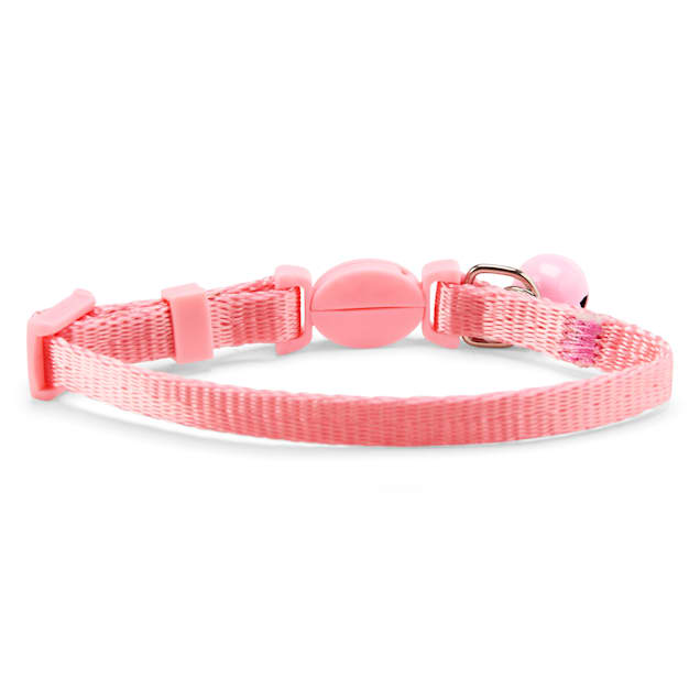 Collar that cheap says kitten
