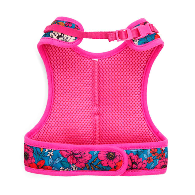 Top paw butterfly harness sale