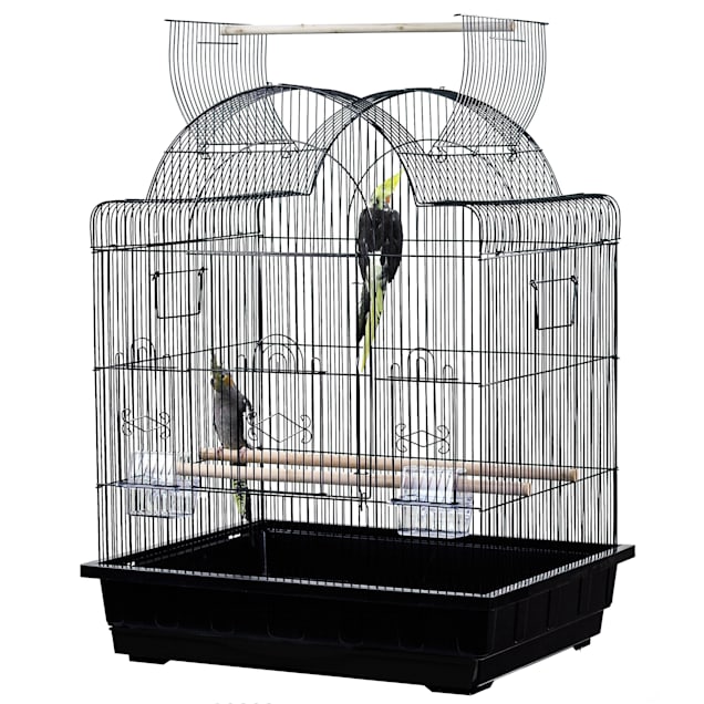 A&E Cage Company Open Play Top Victorian Small Bird Cage