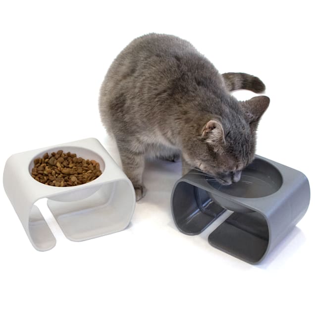 Kitty City Raised Bowls for Cats Pack of 2 Petco