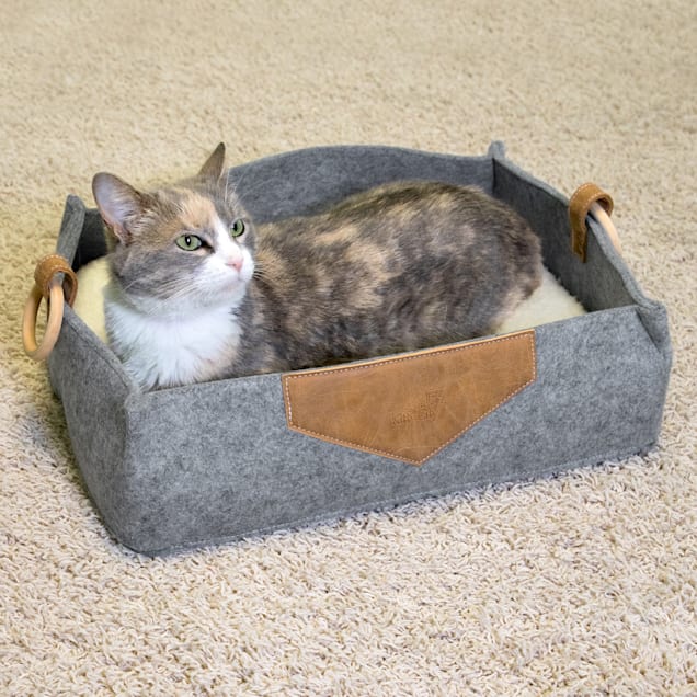 Kitty cat bed store
