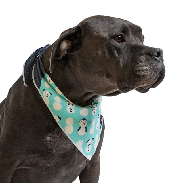 Gone Fishing Reversible Dog Bandana - Little Blue House CA