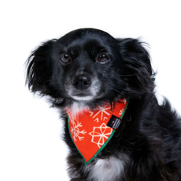 Long Dog Clothing Co. The Noel Reversible Dog Bandana Small