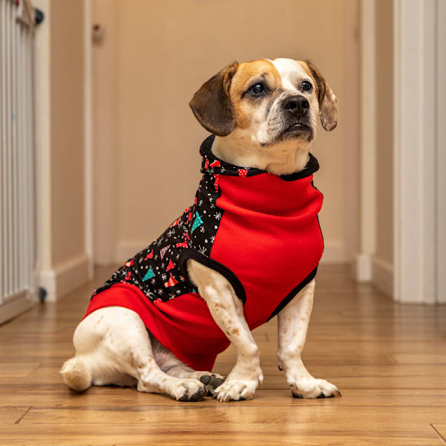 Holiday dog apparel online