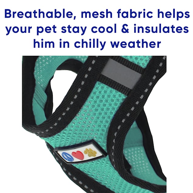 Rbx mesh dog harness discount