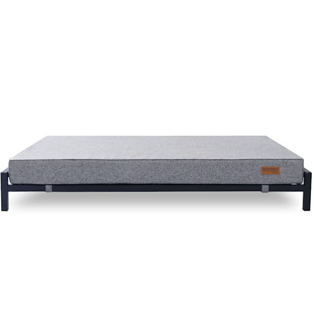 Petco elevated dog bed on sale
