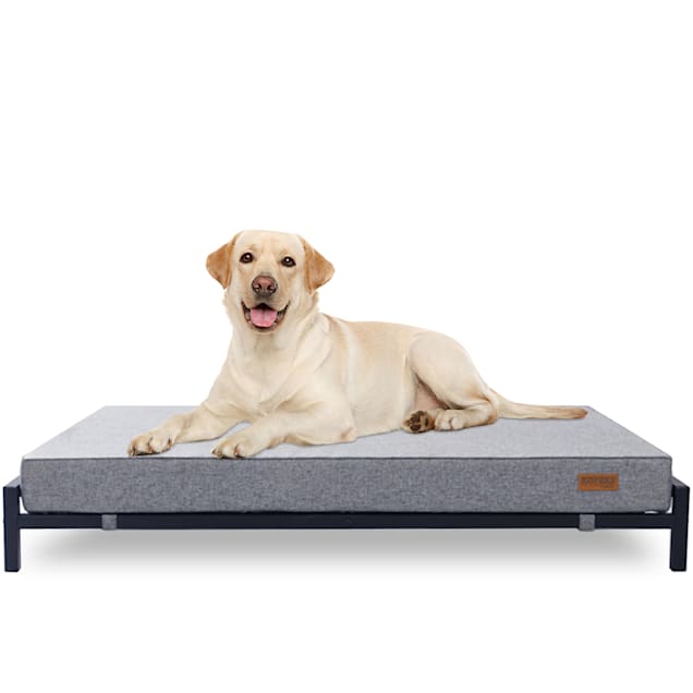Petco outdoor dog bed outlet