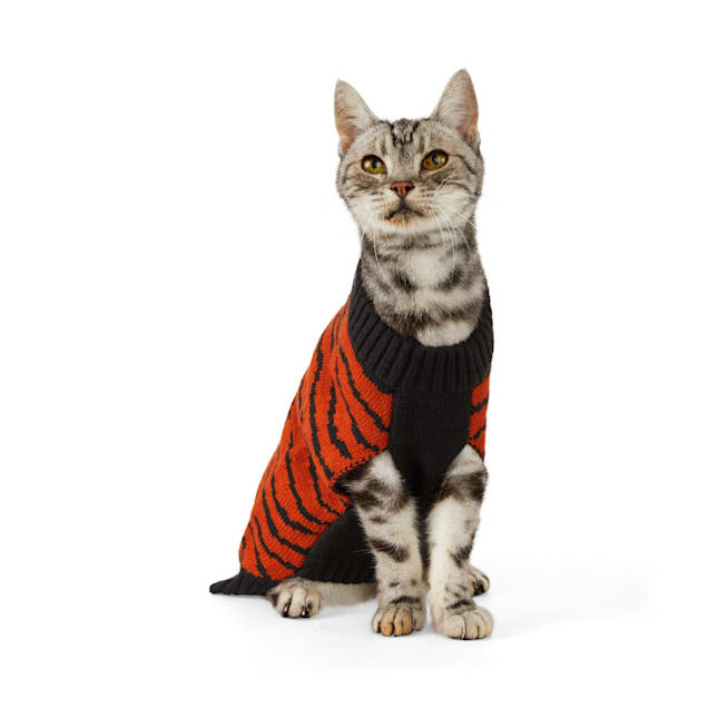 Cat sweaters petco Clearance
