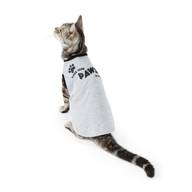 Cat sweaters petco Clearance