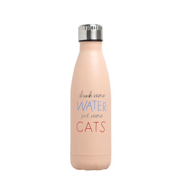 Cats water bottle clearance