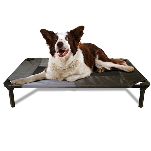 Lucky Dog Comfort Cot Gray Elevated Bed, 35.2