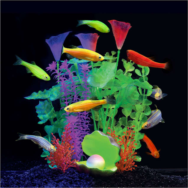 Petco glofish tank sales
