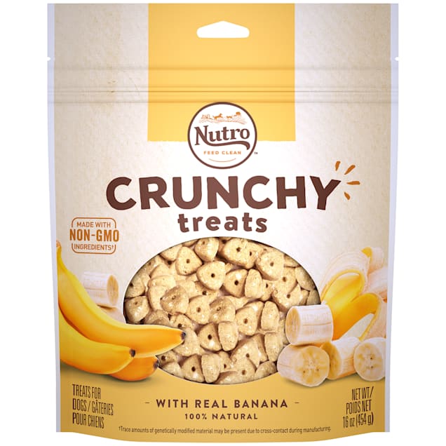 Nutro with Real Banana Crunchy Natural Dog Biscuits 16 oz. Petco