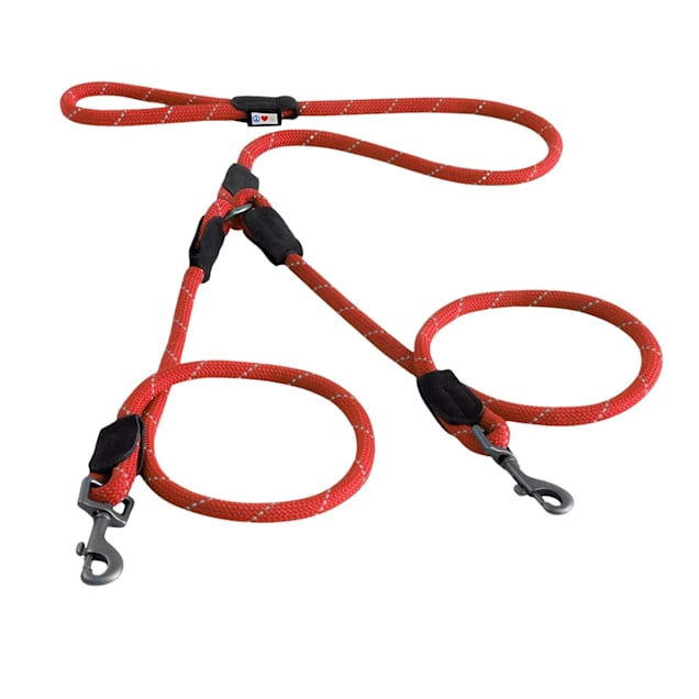 Double dog leash petco top