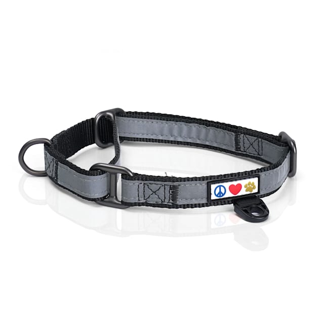 Martingale dog discount collar petco