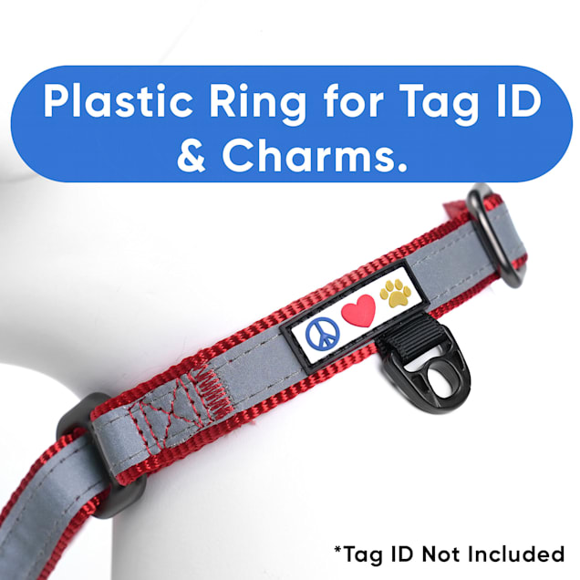 Martingale dog collar petco sale