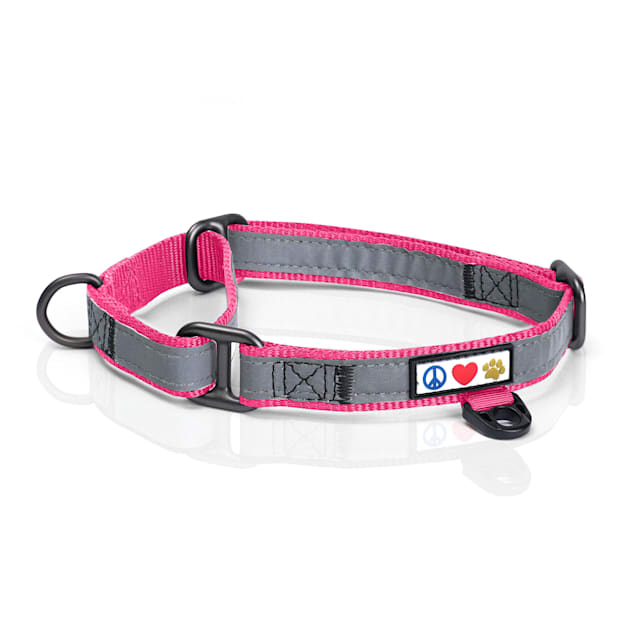 Cat clearance collars martingale