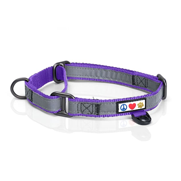 Martingale dog discount collar petco