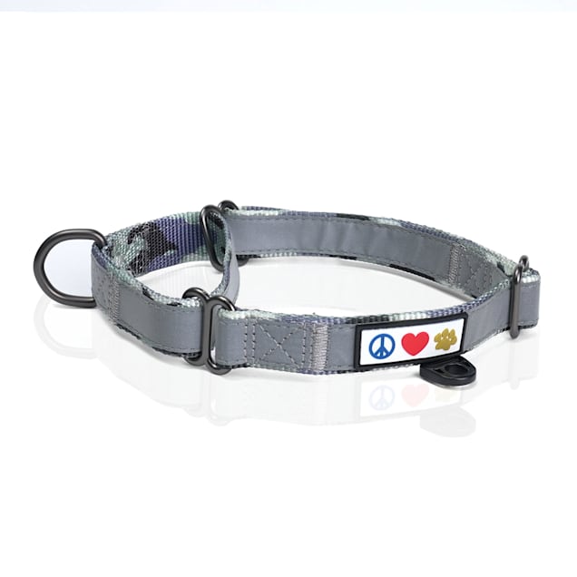 Martingale dog discount collar petco