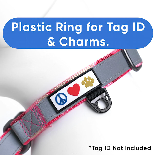 Martingale collar petco hotsell