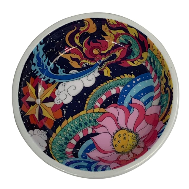 Multipet International Komodo Reptile Bowl with Dragon Design, Small - Carousel image #1