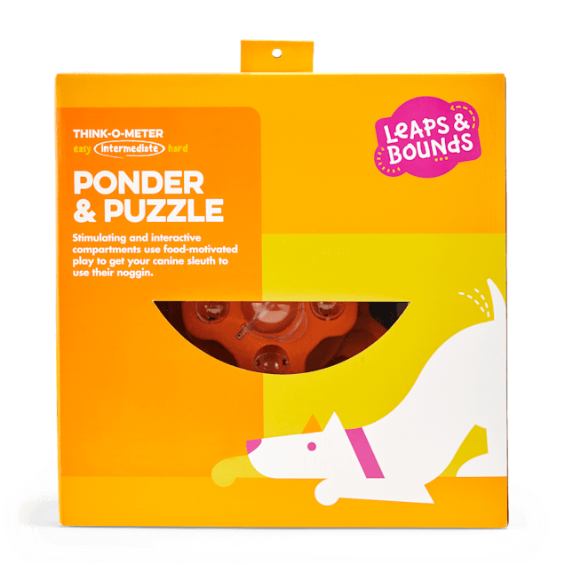 Leaps & Bounds Ponder & Puzzle Level 2 Dog Puzzle Toy, Large