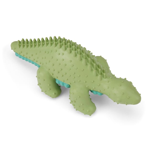Green dinosaur shop dog toy