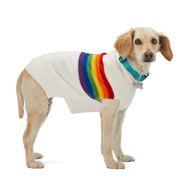 Rainbow dog sweater hotsell